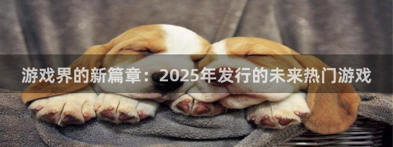 im电竞官网注册地址：游戏界的新篇章：2025年发行的未来热门游戏