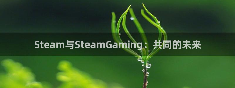 im电竞官网奇趣腾讯分分彩：Steam与SteamGaming：共同的未来
