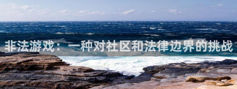 im电竞官网注册方法是什么软件：非法游戏：一种对社区和法律边界的挑战