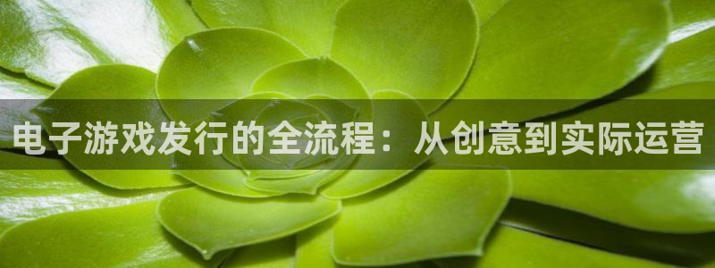 im电竞啤酒怎么样：电子游戏发行的全流程：从创意到实际运营