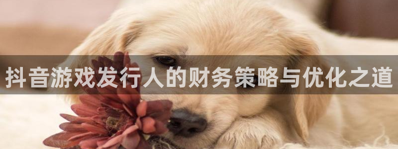im电竞酒庄：抖音游戏发行人的财务策略与优化之道