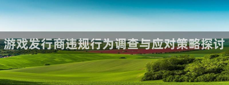 im电竞官网平台怎么样