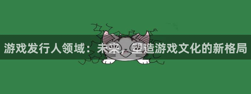im电竞是哪个国家的衣服品牌：游戏发行人领域：未来，塑造游戏文化的新格局