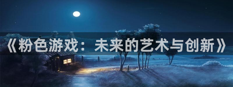 im电竞子 到底怎么样