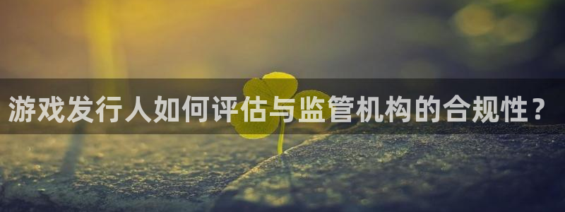 im电竞电商怎么样：游戏发行人如何评估与监管机构的合规性？