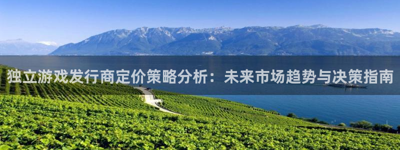 im电竞官网代理注册不了：独立游戏发行商定价策略分析：未来市场趋势与决策指南