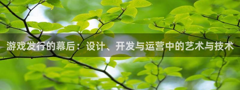 im电竞品牌：游戏发行的幕后：设计、开发与运营中的艺术与技术