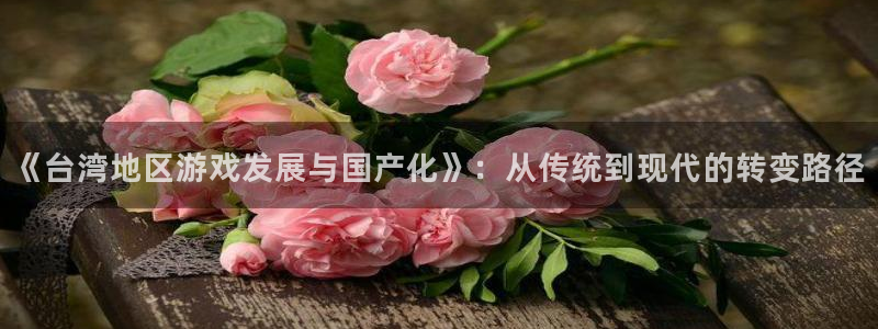 im电竞子文化游戏：《台湾地区游戏发展与国产化》：从传统到现代的转变路径