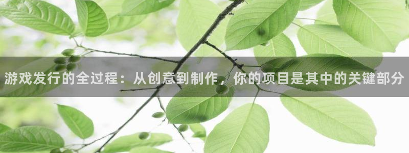 im电竞品牌顾问有限公司