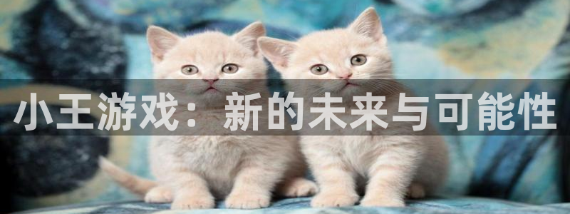 im电竞子年度最佳图书：小王游戏：新的未来与可能性