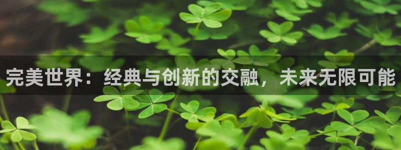 im电竞官网平台怎么样啊