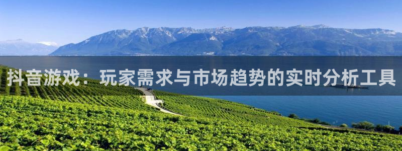im电竞官网登录注册账号安全吗安全吗：抖音游戏：玩家需求与市场趋势的实时分析工具