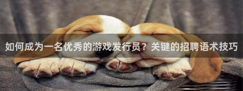 im电竞官网注册地址在哪里查：如何成为一名优秀的游戏发行员？关键的招聘语术技巧
