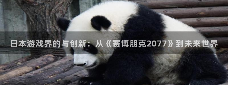 作者im电竞子：日本游戏界的与创新：从《赛博朋克2077》到未来世界