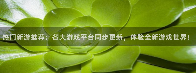 im电竞科技有限公司