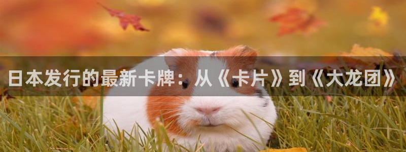 广州im电竞足球俱乐部