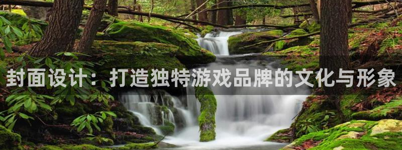 im电竞子公司怎么样