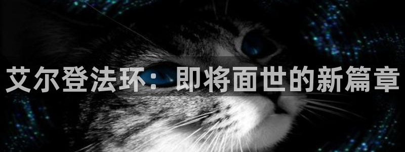 im电竞官网客服电话号码