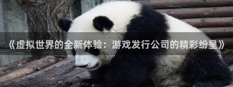 im电竞集团有限公司