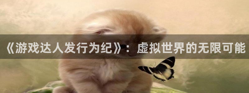 广州im电竞网络科技有限公司