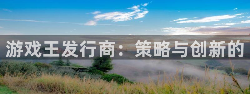 im电竞集团有限公司：游戏王发行商：策略与创新的