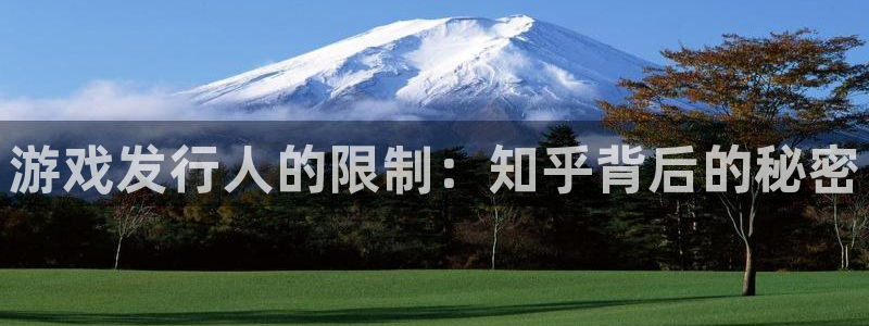 im电竞官网下载分分彩：游戏发行人的限制：知乎背后的秘密